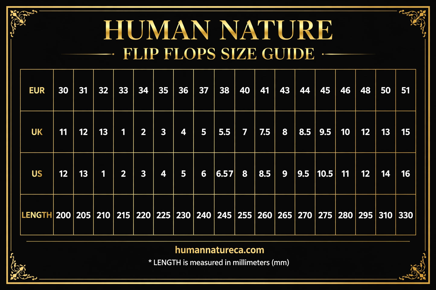 Flip Flops